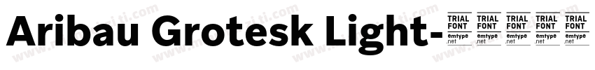 Aribau Grotesk Light字体转换